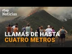 INCENDIOS EN CASTILLA Y LEÓN: NUEVOS FOCOS y EVACUACIONES COMPLICAN la EXTINCIÓN | RTVE Noticias