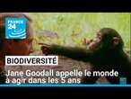 Biodiversité : la primatologue Jane Goodall appelle le monde à agir dans les 5 ans • FRANCE 24