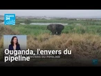 Total en Ouganda : l'envers du pipeline • FRANCE 24