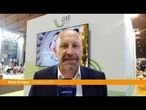 Energia, Arrigoni (Gse) "Equilibrio fra transizione e realismo"