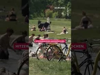Hitzewelle in Deutschland beginnt