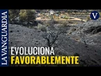 El incendio de Los Gallardos ya se da por estabilizado