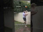 Cachorro da vizinha chama ‘aumigos’ pela janela para brincar