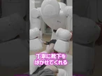 ヒト型ロボットが靴下をはかせてくれる