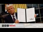 Judge blocks Donald Trump's plan to end US birthright citizenship | BBC News