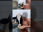 Pet cow goes viral for hilariously messy eating videos #shorts #viral #farmanimals #us #cow #foxnews