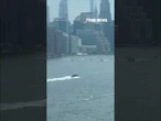 DRAMATIC RESCUE in New York City's East River after a small plane went down #shorts #foxnews #news