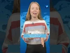 Auch in anderen Städten fanden nach Angaben von US-Medien Demos statt. #tagesschau #usa #trump
