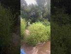 Kałków(woj. opolskie), skutki przerwania wału przez potok Widna