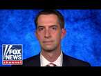 Tom Cotton: The police should arrest these pro-Hamas lunatics