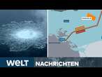 UNWETTER IN BADEN-WÜRTTEMBERG: Großeinsatz! Starkregen sorgt für Überschwemmungen! | WELT LIVESTREAM