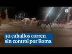 30 caballos corren sin control por una avenida de Roma y hieren a tres personas