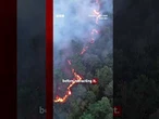 Volunteer firefighter suspected of starting devastating France forest fire. #Fontainebleau #BBCNews