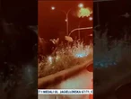 Kłębowisko w centrum Rzymu! Pędzące konie staranowały turystów przed paradą