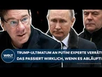 UKRAINE-KRIEG: Trump-Ultimatum an Putin? Experte verrät! Das passiert wirklich, wenn es abläuft!