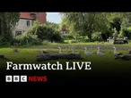 LIVE: BBC Farmwatch is hearing from farmers across England