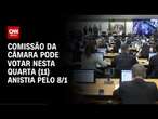 Comissão da Câmara pode votar nesta quarta (11) anistia pelo 8/1 | CNN NOVO DIA