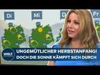 WETTER IN DEUTSCHLAND: Ungemütlicher Herbstanfang! Doch die Sonne kämpft sich durch die Wolkendecke