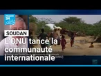 Violences au Soudan : l'ONU tance la communauté internationale • FRANCE 24