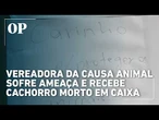 RS: Vereadora da causa animal sofre ameaça e recebe cachorro morto em caixa