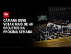 Bebida falsificada e bagagens entram na mira da Câmara | CNN PRIME TIME