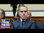 New Hunter Biden whistleblower comes forward: 'Incredibly troubling'