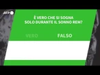 Ansa VERIFIED - E' vero che si sogna solo durante il sonno Rem?