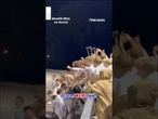 Railing COLLAPSES during high school win celebration #shorts #us #foxnews #soccer #sports #viral
