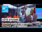 Côte d'Ivoire : quinze partis d'opposition forment une coalition • FRANCE 24