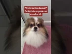 "Creche ou casa da vovó?": Cachorrinha responde com as orelhas