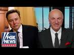 ELON THE ‘ENIGMA’: Let Musk ‘do his thing,’ O’Leary says