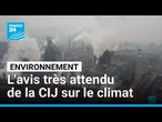 David contre Goliath : récit de l'avis très attendu de la CIJ sur le climat • FRANCE 24