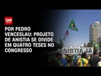 Projeto de anistia se divide em quatro teses no Congresso | CNN NOVO DIA