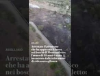 Arrestato il piromane che ha appiccato l'incendio nei boschi di Montemiletto