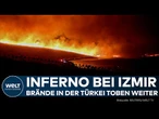 WALDBRÄNDE TÜRKEI: Evakuierungen und Stromausfall nach Feuerkatastrophe im Westen nahe Izmir