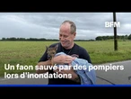Un faon sauvé par des pompiers en intervention lors d'inondations dans l'Indiana