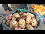 Estudo revela que a batata descende do tomate | AFP
