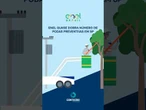 #ConteúdoPatrocinado | Enel quase dobra podas preventivas para proteger rede em SP