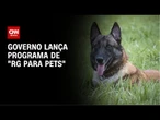 Sinpatinhas: Lula lança RG para cães e gatos nesta quinta | CNN NOVO DIA