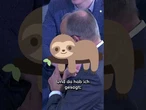 FAULTIER oder PFERD? Kanzler Merz erklärt seine skurrile KRAWATTEN-WAHL #shorts