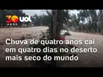 Deserto do Atacama: Região registra em quatro dias chuva esperada para quatro anos