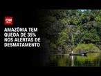 Amazônia tem menor nível de desmatamento no 1º semestre em dez anos, diz Inpe | HORA H