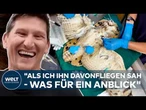 VIRGINIA-UHU: Aus der Betonmischmaschine zurück in die Wildnis Utahs