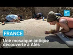 Une mosaïque antique refait surface sur les hauteurs d'Alès • FRANCE 24