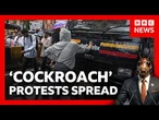 India's cockroach protests: Modi breaks silence and hunger strike ends | BBC News