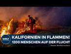 KALIFORNIEN: Riesiges Flammenmeer 