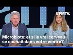 Microbiote: et si le vrai cerveau se cachait dans votre ventre?