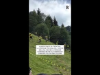 A Brentonico la versione italiana del 'Cheese Rolling'