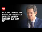 Haddad: “Vamos dar trabalho para essa extrema-direita escrota" | CNN ARENA