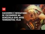 Vídeo: Cachorro é resgatado de escombros na Venezuela dias após terremotos | LIVE CNN